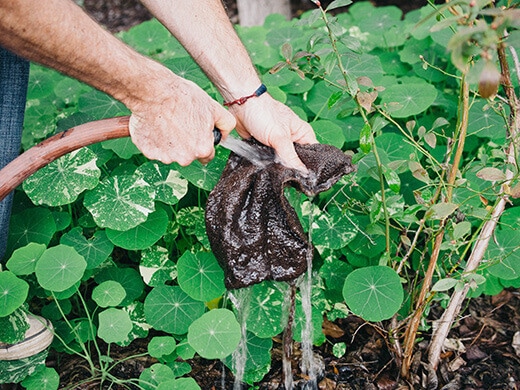 Rinse burlap sack with water