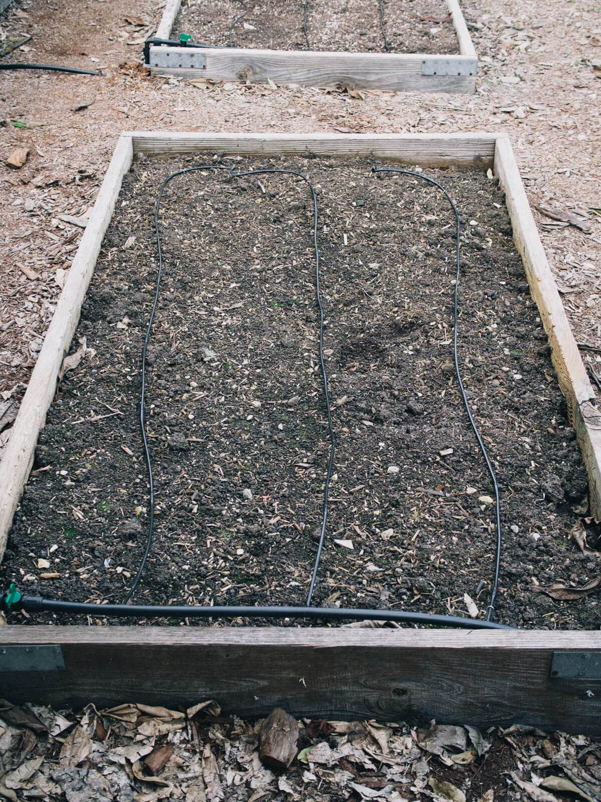Soaker driplines in garden bed