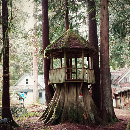Treehouse