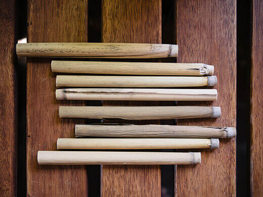 Natural lake bed reeds