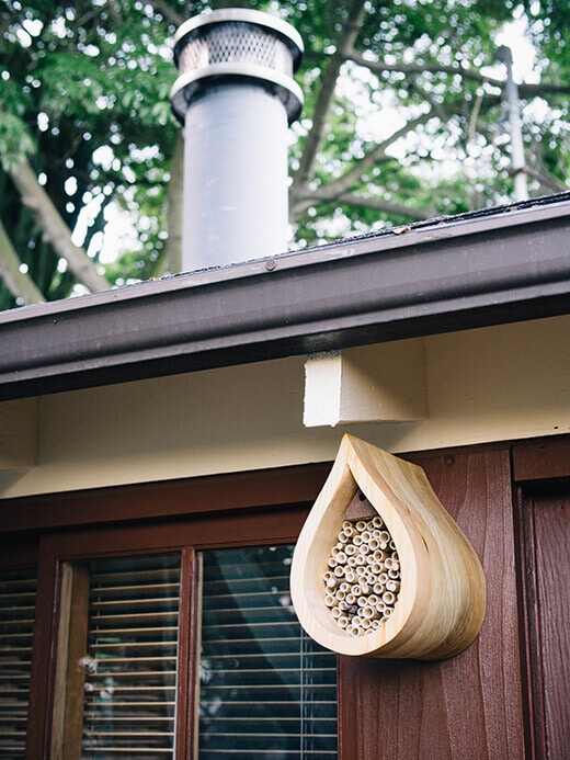 Raindrop native bee house