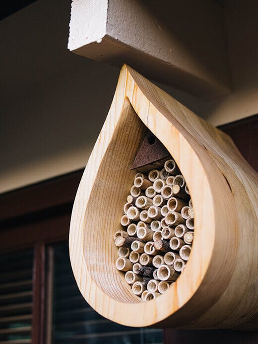 Raindrop bee house