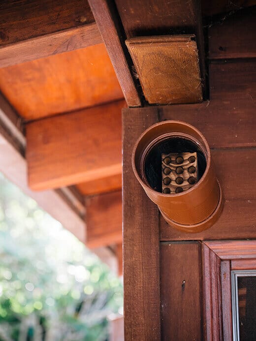 BeeHut house
