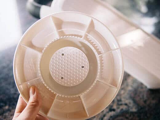 Spring-loaded food holder