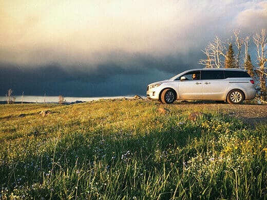 Kia Sedona in spring wildflowers