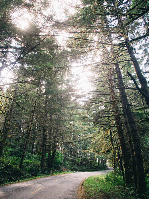 Lost Coast scenic drive