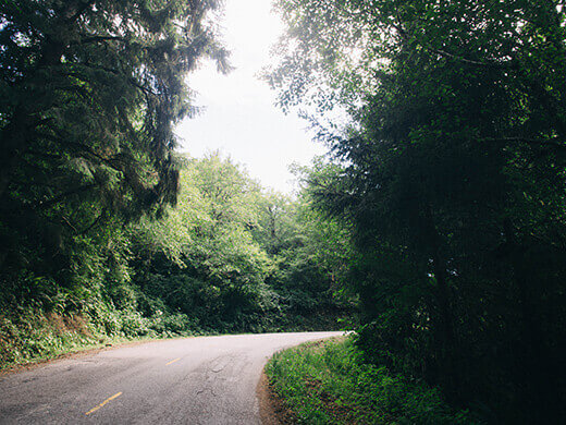 Curvy road to Shelter Cove
