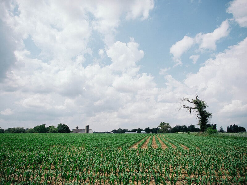 Bucolic Amish countryside