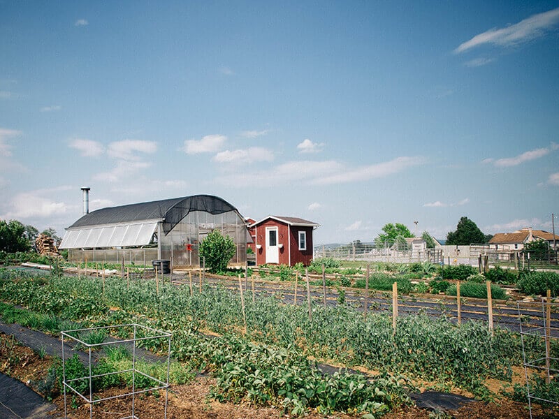 Meadow View Heirloom Greenhouse in Bird-in-Hand, Pennsylvania