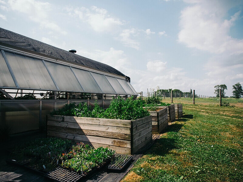 Raised planter boxes