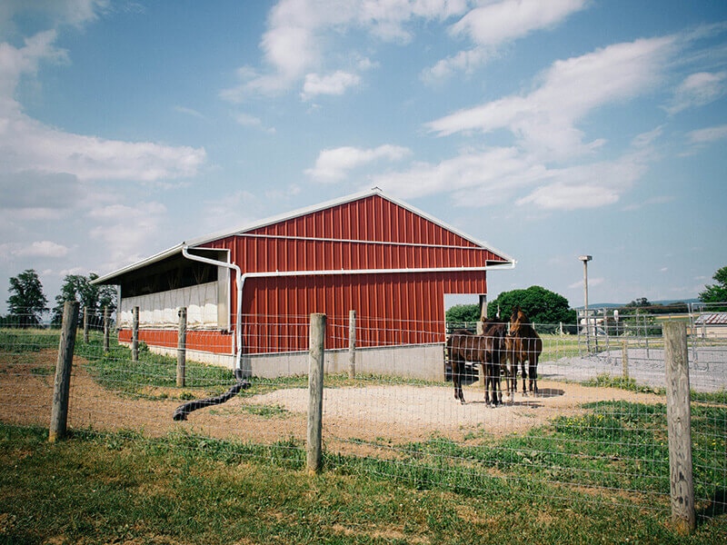 Amish farm