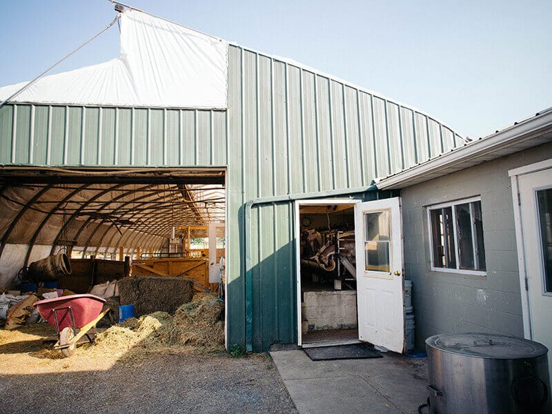 Amish goat dairy