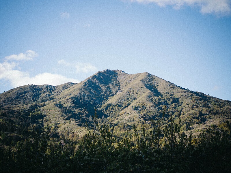 Mount Tamalpais on Christmas Day