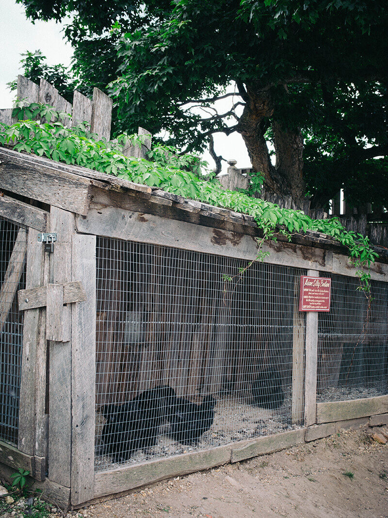 Heritage hen house