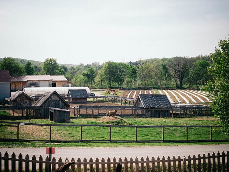 Farm and trial gardens at Baker Creek