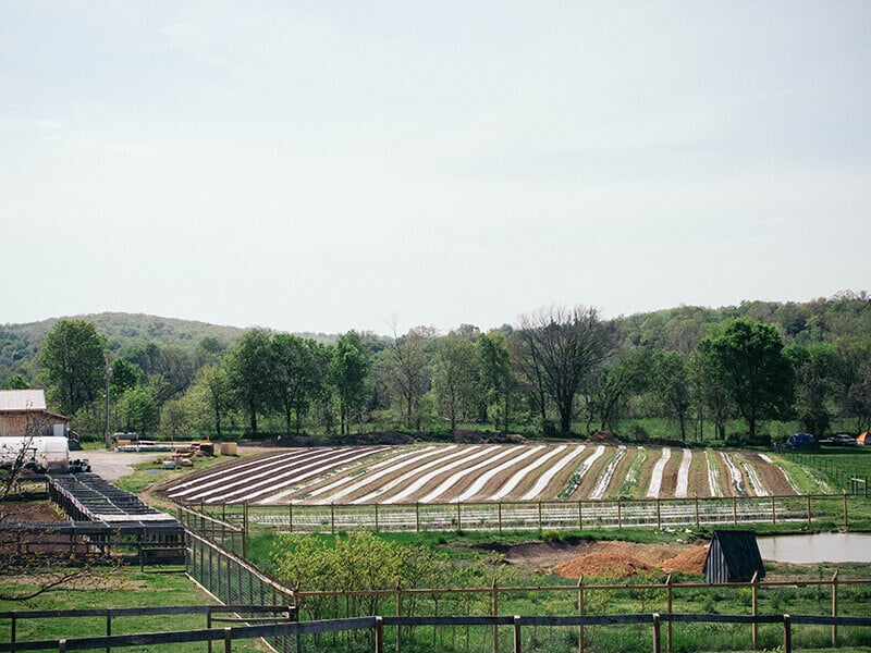 Baker Creek Heirloom Seed Company farm