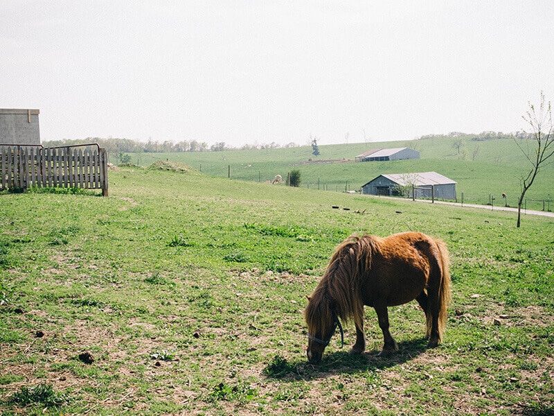Life in the Missouri Ozarks