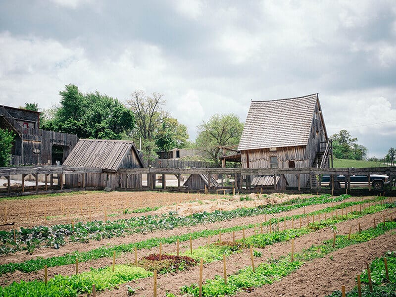 Test gardens at Baker Creek Heirloom Seed Company
