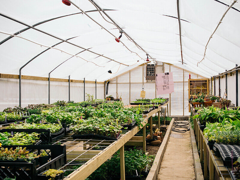 Trial plant warehouse