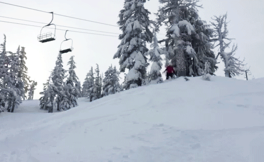 Reveling in powder on Mt. Bachelor