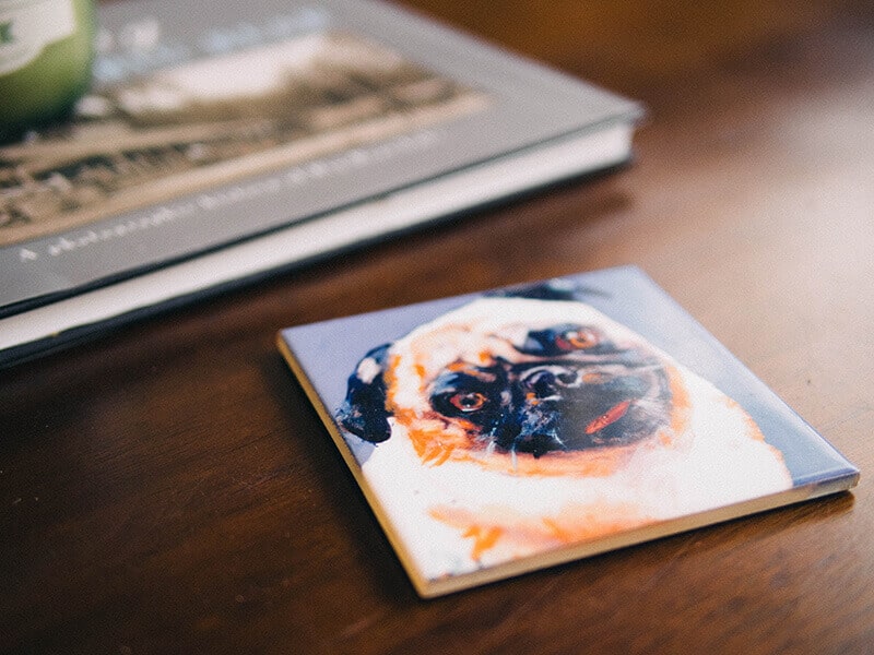 Pug coaster