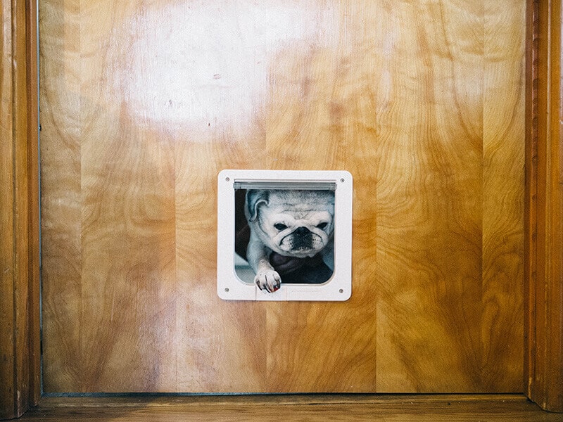 Doggie door