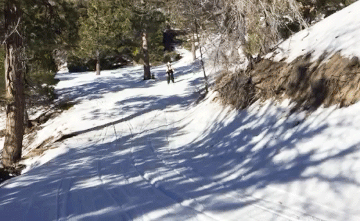 Sliding downhill on my cross-country skis