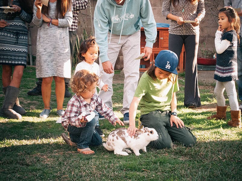 Kids playing in the yard
