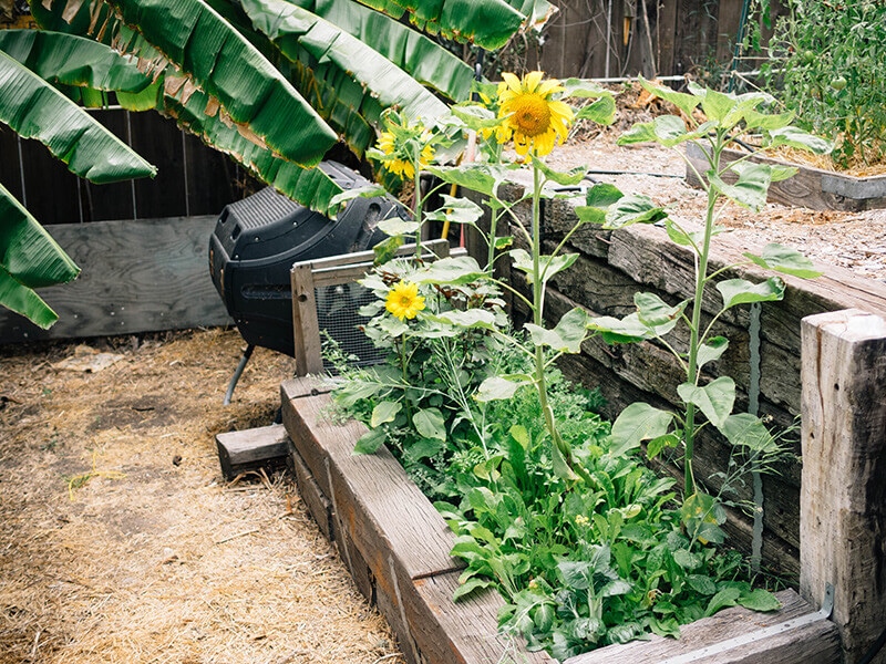 Make a garden plan
