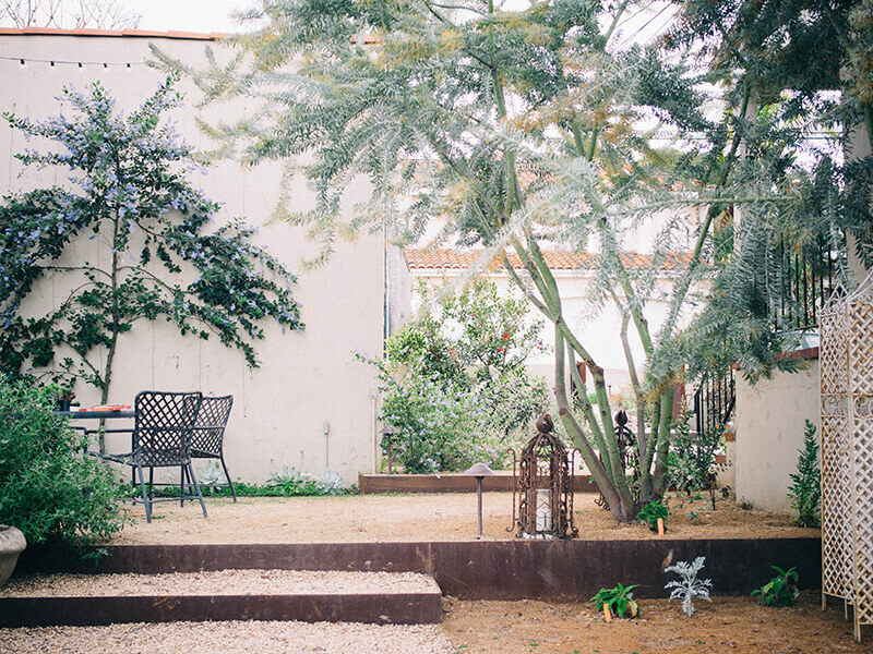 Drought-tolerant coastal California garden