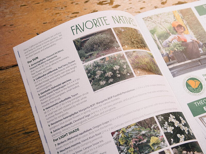 Annual native plant garden tour