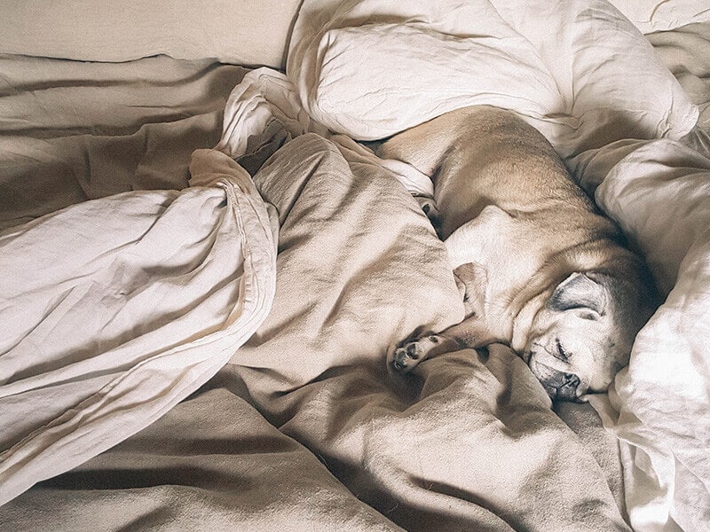 Rise and shine
