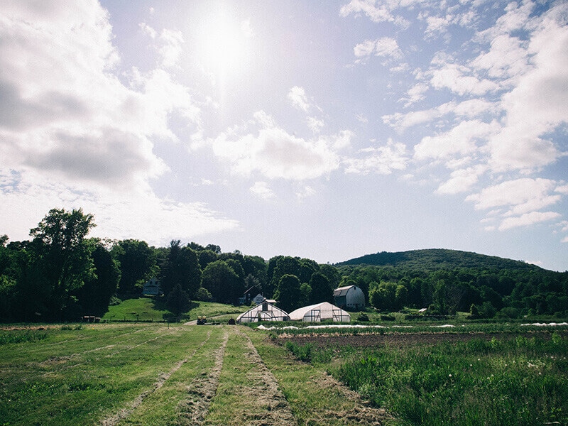 Indian Line Farm, home of the country's first CSA concept