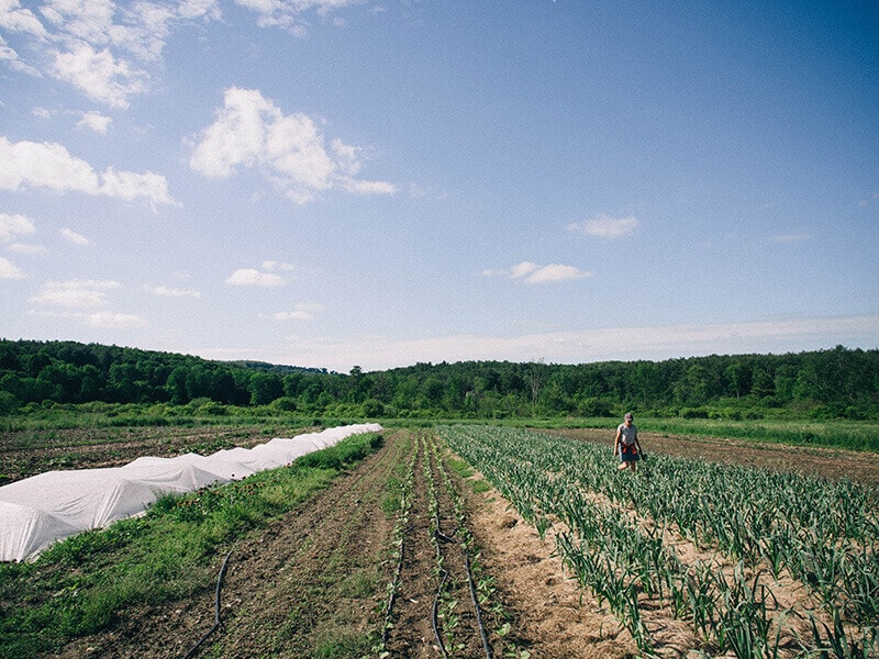 Indian Line Farm in Western Massachusetts