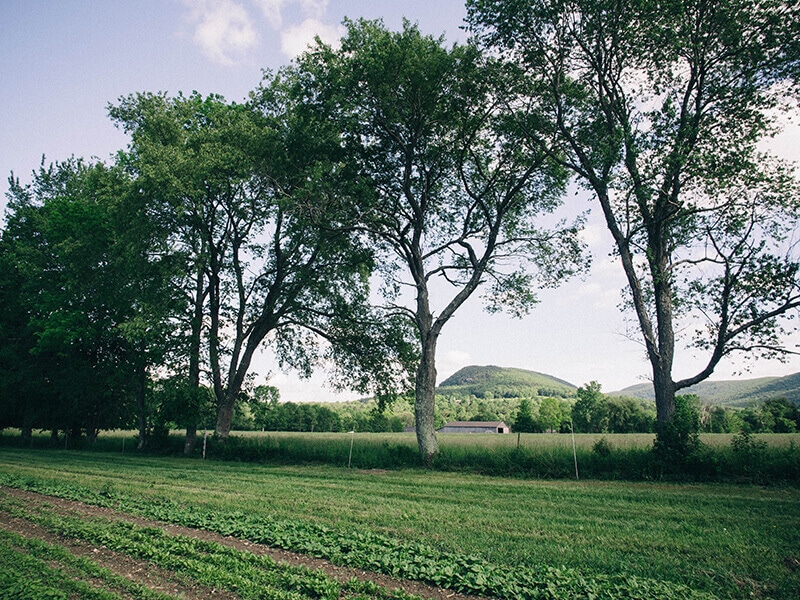 Indian Line Farm in the Berkshire Hills