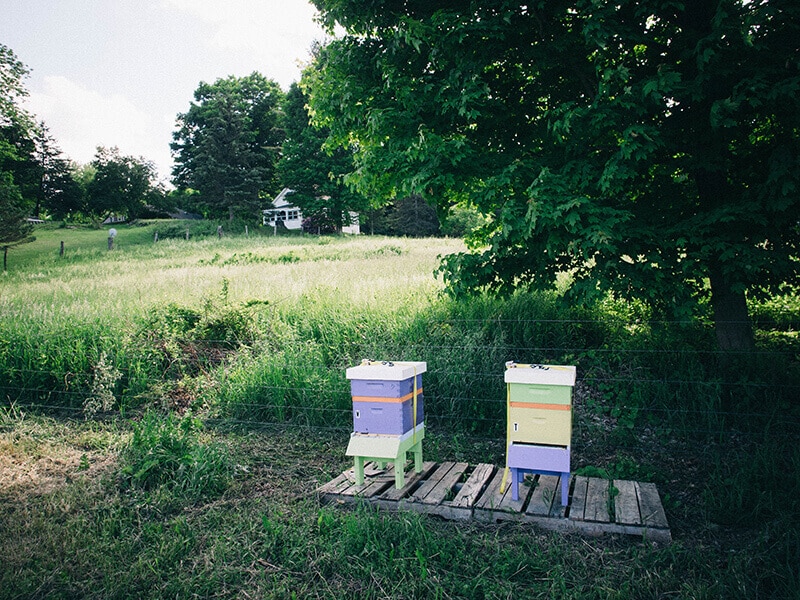 Beehives