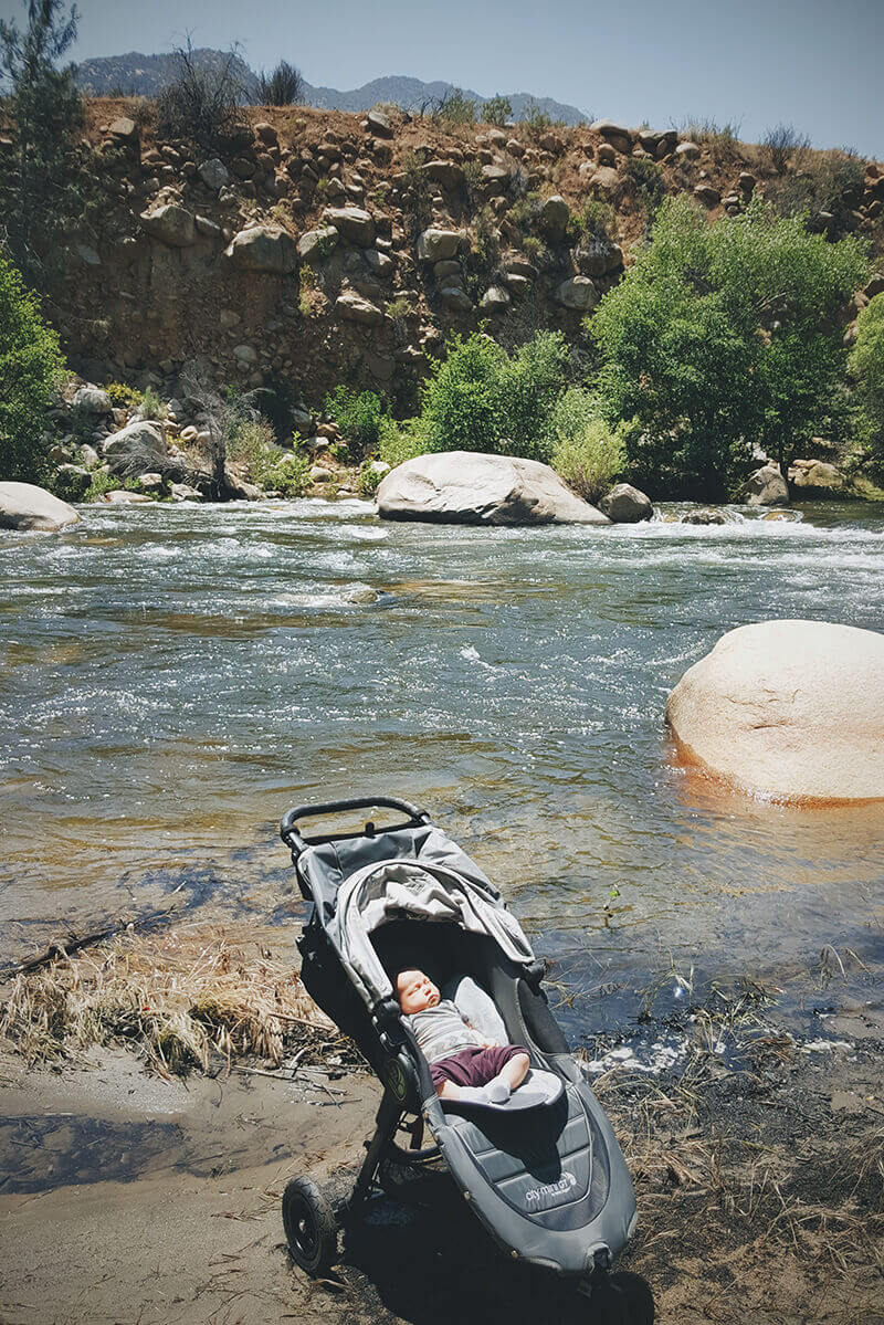 Little river rat