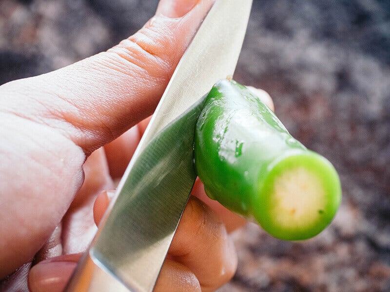 Jalapeno pepper