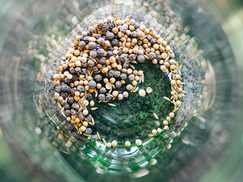 Peppercorns, coriander seeds, and cumin seeds