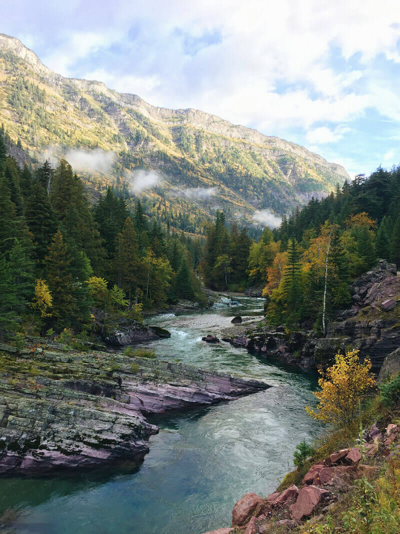 Fall color in West Glacier, Montana