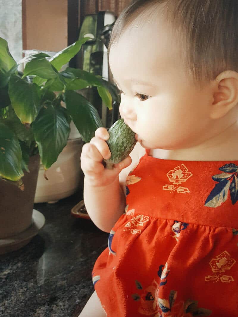 Eating a feijoa