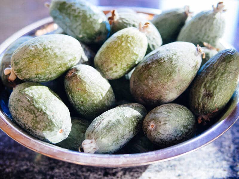 Homegrown feijoas