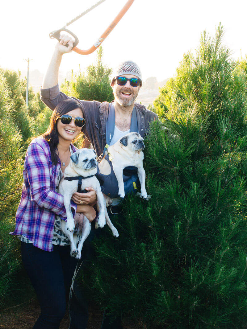 First year at the Christmas tree farm