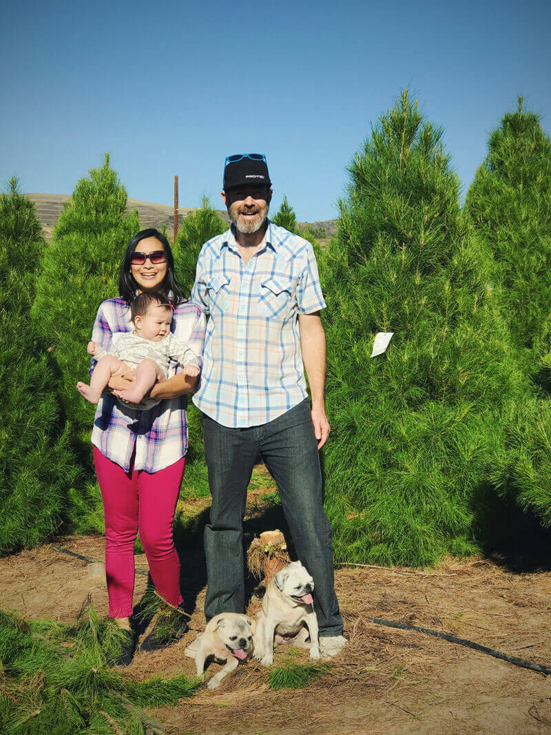 Third year at the Christmas tree farm