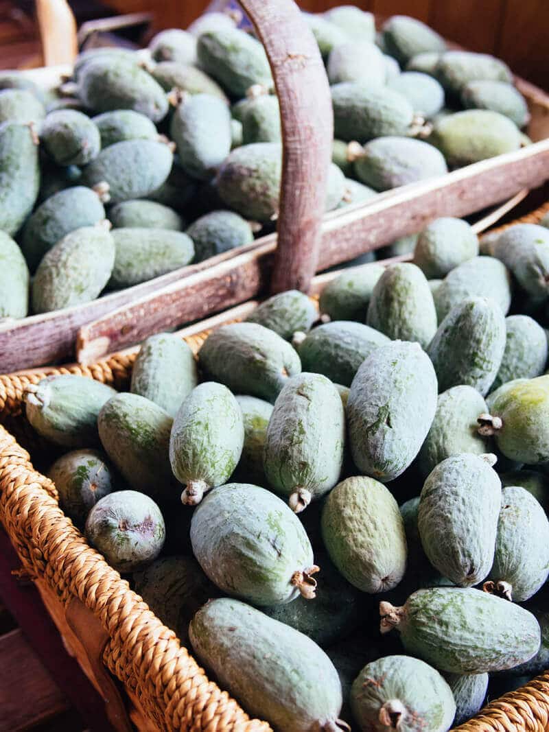Pineapple-guava harvest