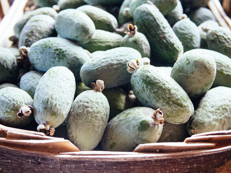 Homegrown guavasteen
