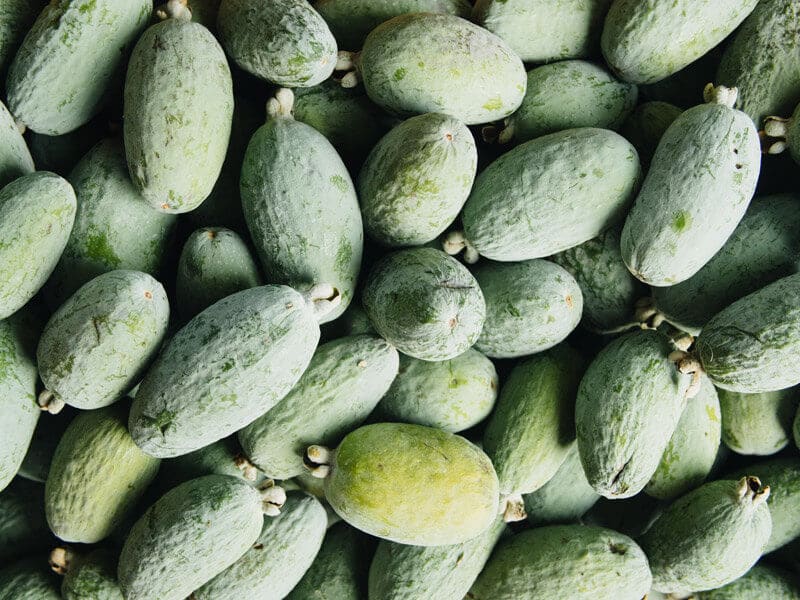 Pineapple-guava harvest