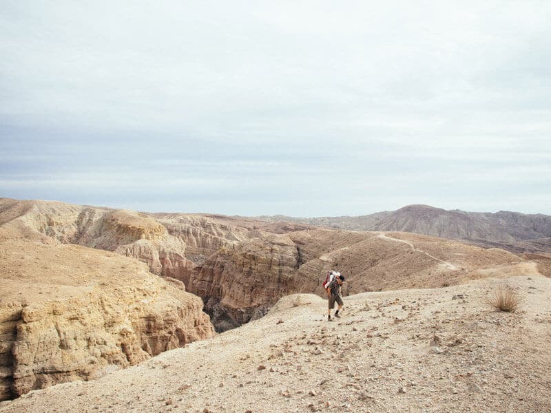 Exploring the ridge above Big Painted Canyon