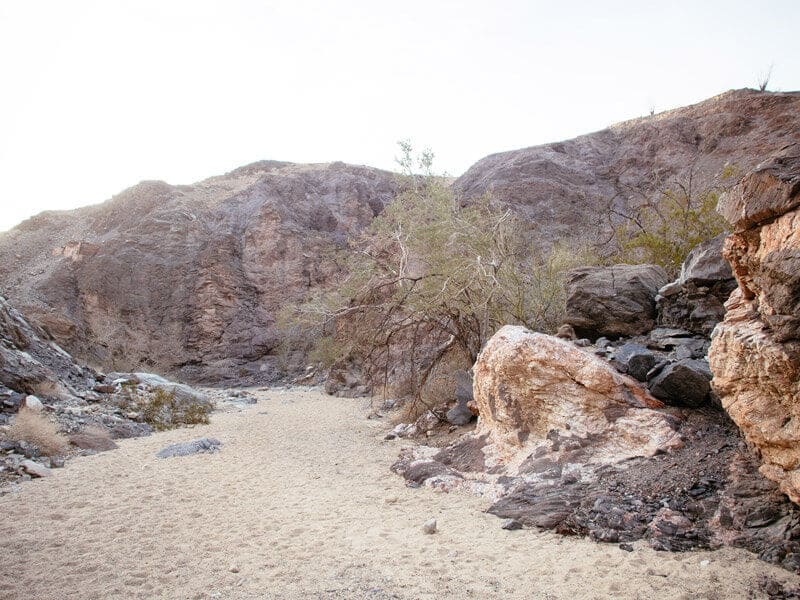 The broad sandy wash of Painted Canyon