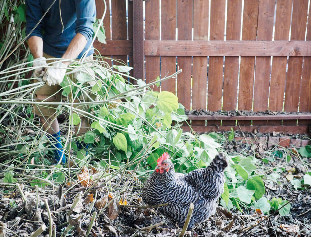 Checklist for your spring garden tune-up